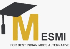 MESMI Logo